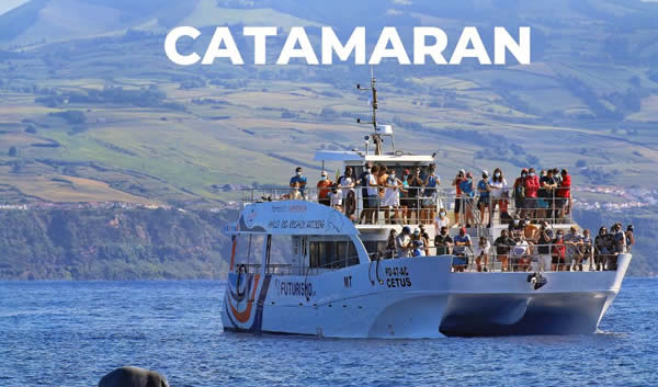 Catamaran stable pour familles à São Miguel