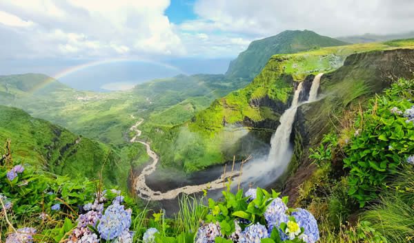 Cascades au Poço da Ribeira do Ferreiro, île de Flores