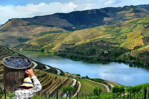 Tour Privado Douro