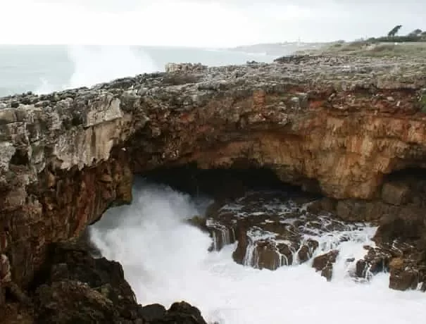 Boca Inferno