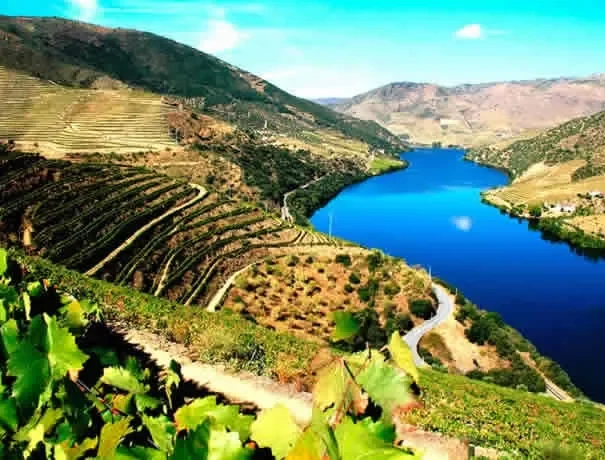 douro2