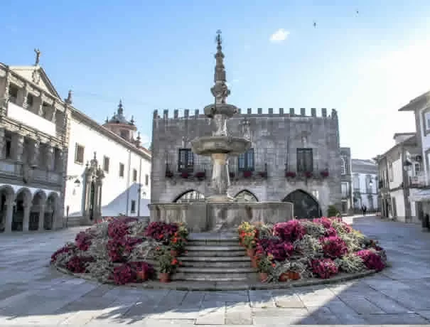 viana8